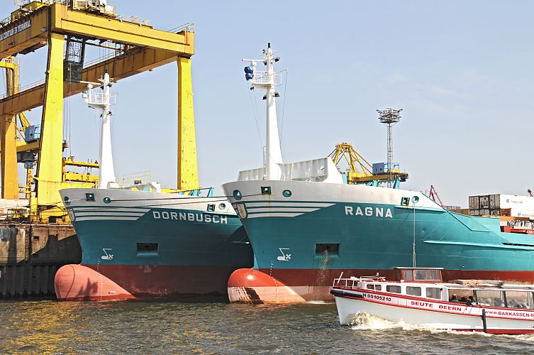 Schiffsfotografien aus dem Hafen Hamburg - Barkasse Hafenrundfahrt / Containerfrachter  011_44-6673 Die Auflieger Ragna und Dornbusch im Hamburger Hafen / Ellerholzhafen. Der Container Transport ist aufgrund der weltweiten Wirtschaftskrise stark zurck gegangen. Aus diesem Grund werden Frachtschiffe stillgelegt; bei einer "heissen" Stilllegung wird das Schiff nur fr eine begrenzte Anzahl von Wochen deaktiviert -  dies geschieht mit einer kleinen Besatzung und kontinuierlicher Maschinenaktivitt. So kann das Schiff in relativ kurzer Zeit wieder in Betrieb genommen werden. Bei einer "kalten" Stilllegung wird das Schiff fr lngere Zeit "vom Markt" genommen, eine Reaktivierung ist dann recht langwierig und kann bis zu drei Monaten dauern. Das Fahrgastschiff SEUTE DEERN fhrt auf seiner Tour durch den Hamburger Hafen gerade an den aufgelegten Frachtschiffen vorbei. www.hamburg-fotografie.de