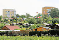 7339 Kleingrten in Hamburg Eissendorf - Gartenlauben im Grnen - im Hintergrund Hochhuser.