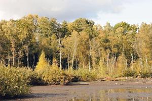 Naturschutzgebiet Eppendorfer Moor - Flachmoor, Schutzgebiet. Wasserflche mit Baumbestand.  Fotos aus den Hamburger Bezirken + Stadtteilen: Bezirk Hamburg Nord - Bilder vom Stadtteil Eppendorf. Eppendorf ist ein Stadtteil Hamburgs im Bezirk Hamburg-Nord - der Name leitet sich vermutlich vom altdeutschen epen, „am Wasser gelegen“, her. 1140 erstmals erwhnt ist Eppendorf Hamburgs ltests Dorf. Im 19. Jahrhundert wurde Eppendorf zum beliebten Vorort fr wohlhabende Brger aus Hamburg, die dort ihren Landsitz errichteten. In der Folgezeit wurde das niedriggelegene, sehr feuchte Land aufgeschttet und bebaut. Von der ursprnglichen Weide- und Moorlandschaft hat sich nur das Eppendorfer Moor an der Tarpenbek erhalten, das seit 1982 unter Naturschutz steht. 1894 wurde Eppendorf als Stadtteil in die Stadt Hamburg eingemeindet.