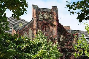 Backsteingiebel mit Wein bewachsen - ehem. Mdchenschule Woellmerstrasse, Erbauit 1910 - Architekt Harburger Stadtbaurat Friedrich Homann. Aufnahmen aus den Hamburger Stadtteilen und Bezirken - Bilder von Hamburg HEIMFELD, Bezirk HARBURG. Der Ort Heimfeld wurde erstmals 1417 urkundlich erwhnt. 1888 wurde die Ortschaft ein Teil der Stadt Harburg, die wiederum 1937 nach Hamburg eingemeindet wurde. Der Stadtteil hat auf einer Flche von 11,7 km ca. 20 000 Einwohner. 