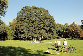 7492 Wiese im Sommer im Nienstedtener Hirschpark - ein Maler hat seine Staffelei aufgestellt und arbeitet in der Sonne.