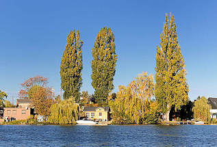 3025 Herbstbume am Bullenhuser Kanal in Hamburg Rothenburgsort; prchtige Herbstfarben in den Schrebergrten auf der Billerhuder Insel.