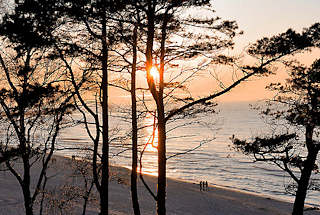 4607 Sonnenuntergang zwischen Kiefern an der Ostsee - Badeort Leba, Polen.